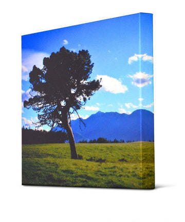 Canvas Wraps Standard Size